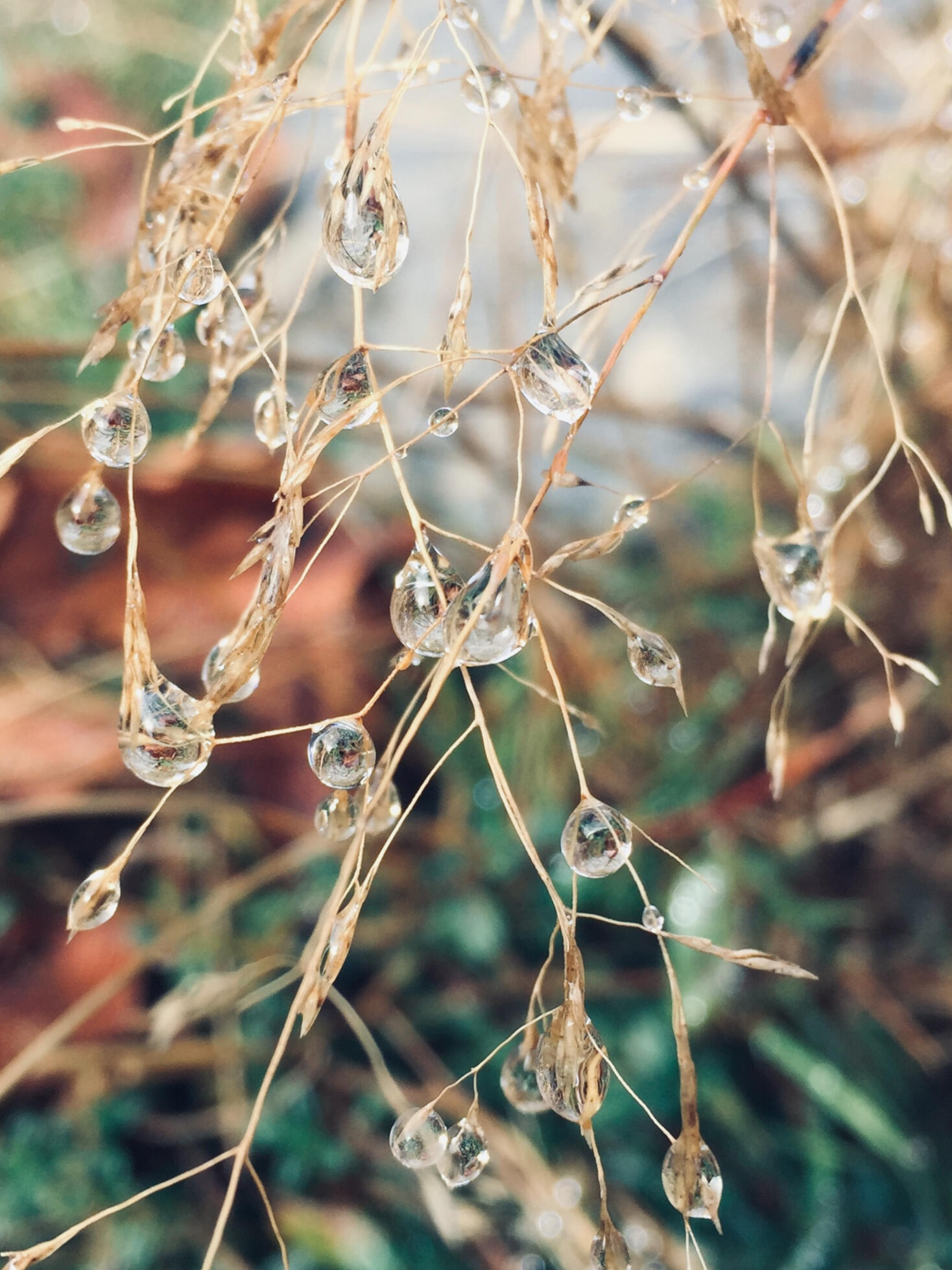 Illustration cérémonie funéraires civiles