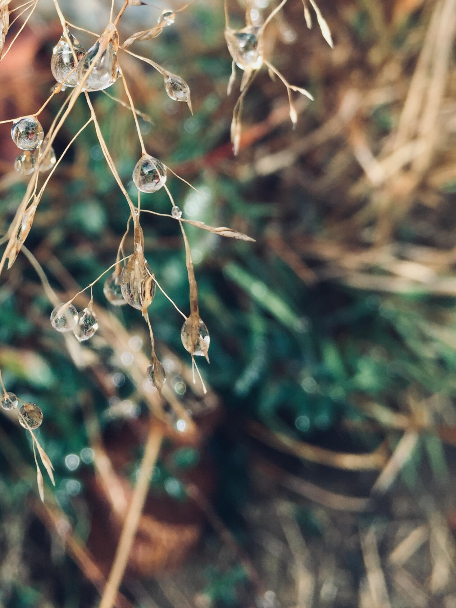 Illustration cérémonie funéraires civiles